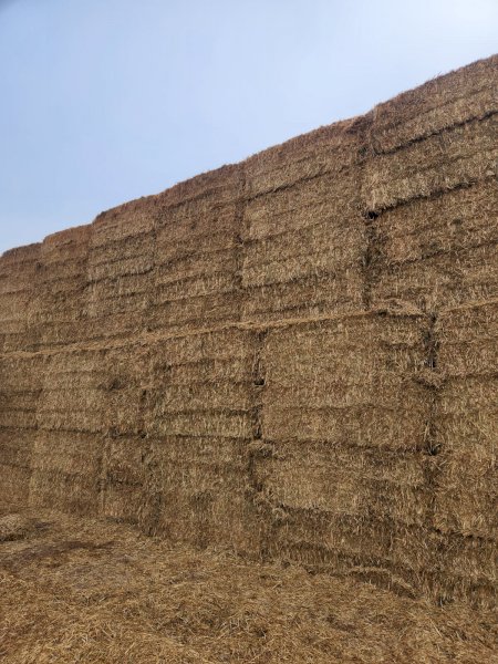 128mt Oaten Hay 640kg 8x4x3 Bales