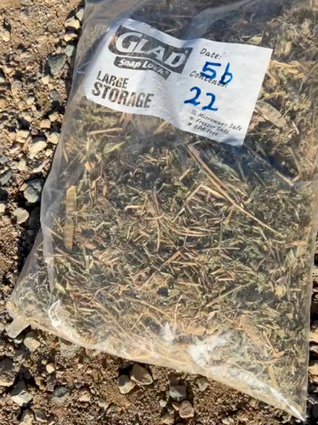 55 x Vetch Hay 660kg 8x4x3 Bales