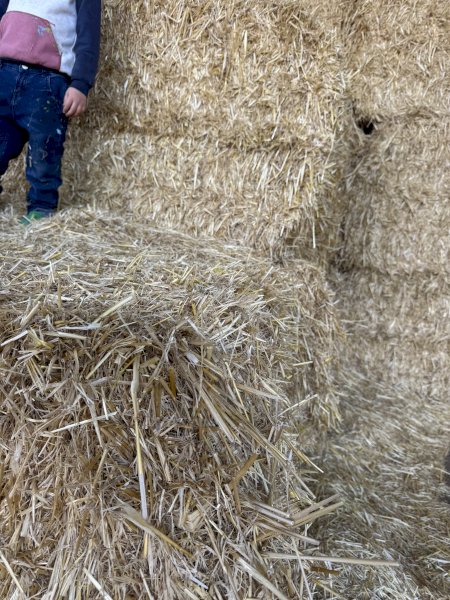 1 b Double load Barley Straw 8x4x3 Bales Header Tailings.