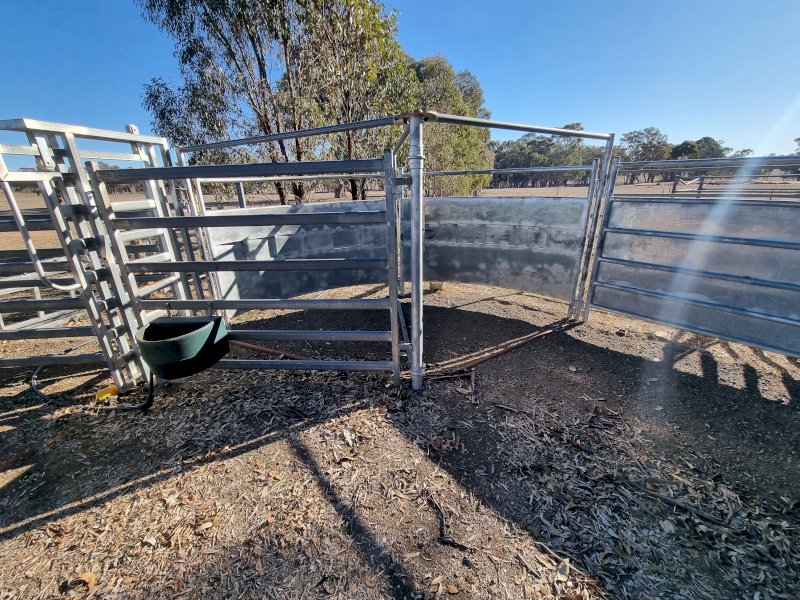 Cattle Yards With Ramp Panels And Crush