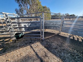Cattle Yards With Ramp Panels And Crush