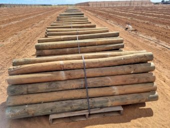 Pine Posts, Trellis Link Angle and Structural Anchors