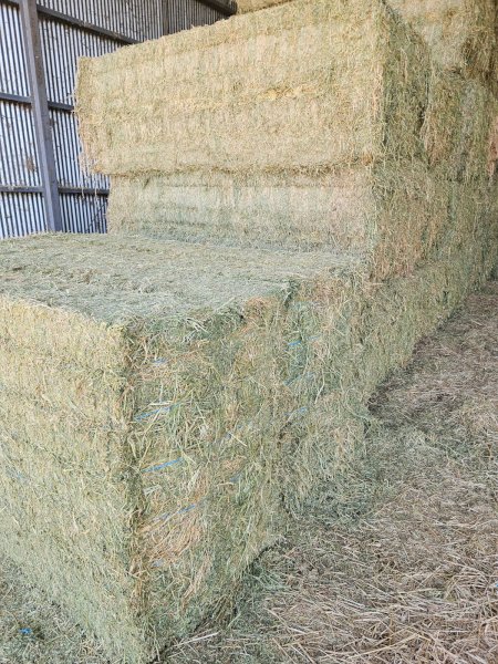 30 mt  Vetch Hay 8x4x3 Bales 24/25 Season