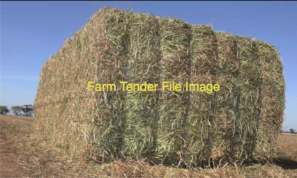 40MT Italian Ryegrass Hay 8X4X3 Large Square Bales