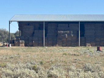 4 B Double loads Wheaten Straw 8x4x3 Bales