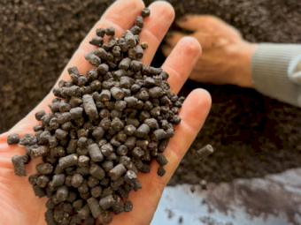 Composted Pelletised Chicken Manure