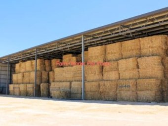 150mt Wheaten Hay 600kg 8x4x3 Bales