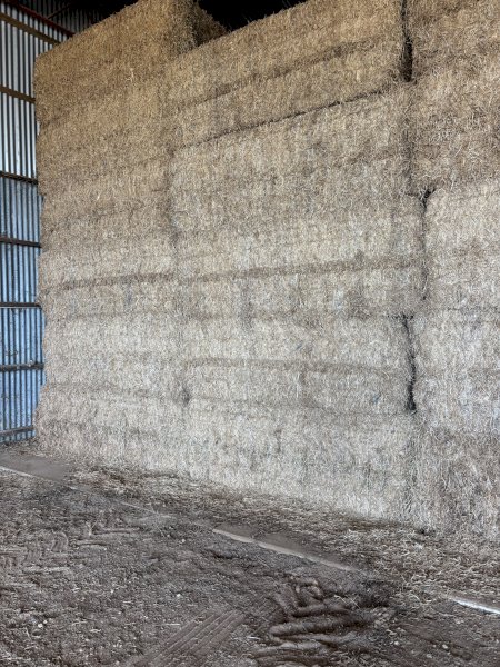 2024 Season A1 Vetch Hay