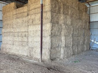 2024 Season A1 Vetch Hay