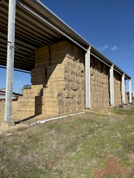 60mt Wheaten Straw 475kg 8x4x3 Bales