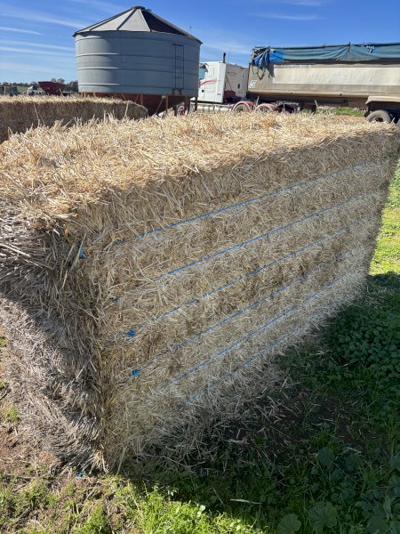 300 x Barley Straw 500-550kg 8x4x3 Bales