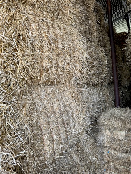 40mt Barley Straw 8x4x3 Bales