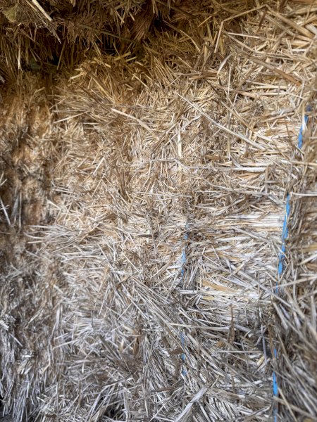 40mt Cereal/rye grass  8x4x3 Bales