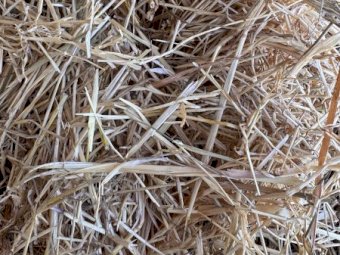 40mt Cereal/rye grass  8x4x3 Bales