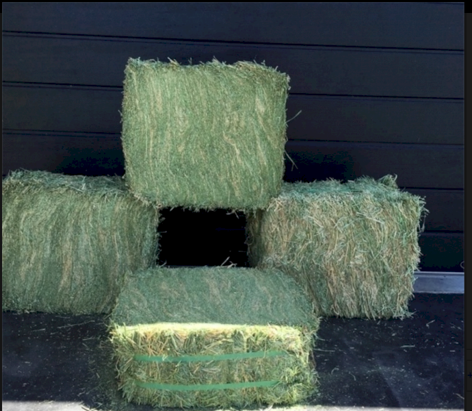Quality Compressed Lucerne Hay on Pallets