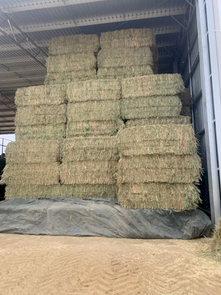 120 m/t Oaten Hay