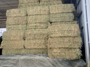 120 m/t Oaten Hay