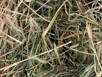 120 m/t Oaten Hay