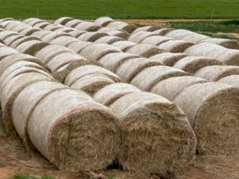 60 x Rice Straw 4x4 Rolls