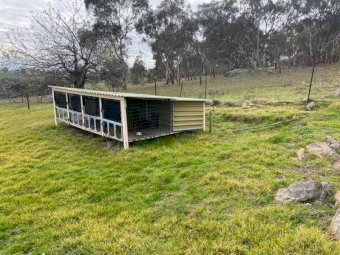 4 X Dog Run Kennel