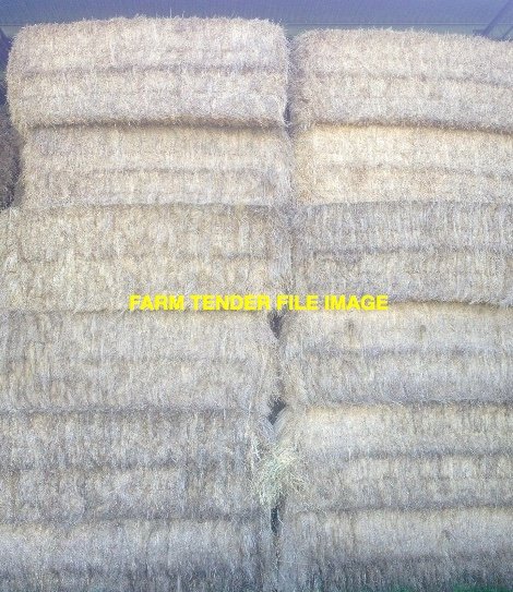 30 x Rye Straw 8x4x3 Bales