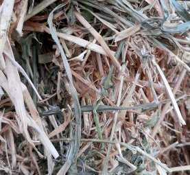 30mt Oaten and Lucerne Mix Hay 500kg 8x4x3 Bales