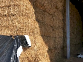 160mt Oaten Hay 620kg 8x4x3 Bales