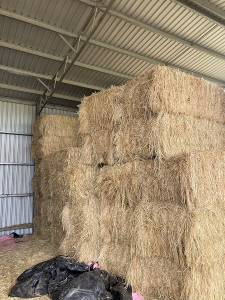 24 Season Oaten Hay