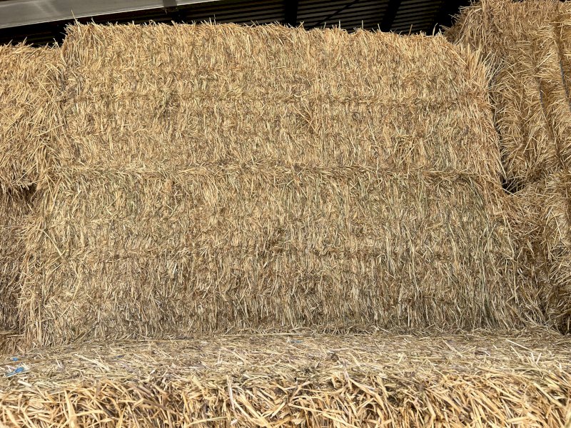 40-50mt Barley Hay 650kg 8x4x3 Bales
