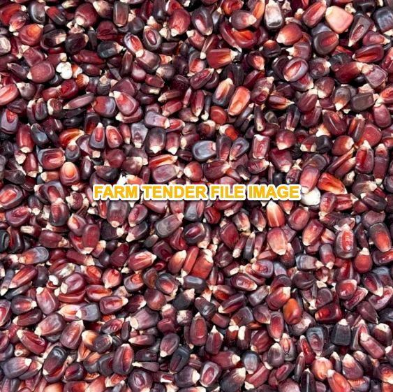 WANTED Red maize