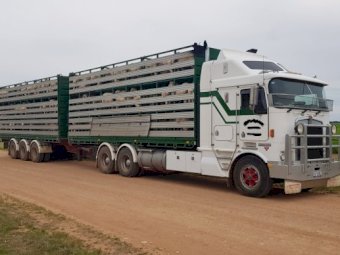 1999 Kenworth K104 with Flat Tops, Tippers and Stock Crates
