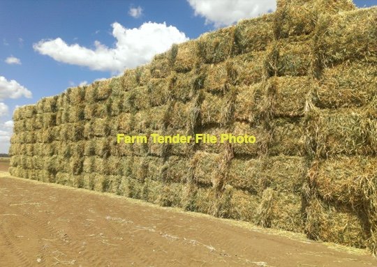EOI 25' Season Oaten Hay