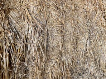135t Oaten Hay 500kg 8x4x3 Bales