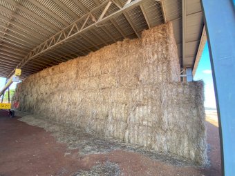 135t Oaten Hay 500kg 8x4x3 Bales