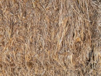 135t Oaten Hay 500kg 8x4x3 Bales