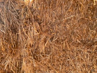 135t Oaten Hay 500kg 8x4x3 Bales