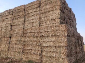 115mt Oaten Hay 650kg 8x4x3 Bales