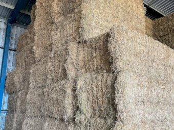 40mt Vetch Hay 650kg 8x4x3 Bales