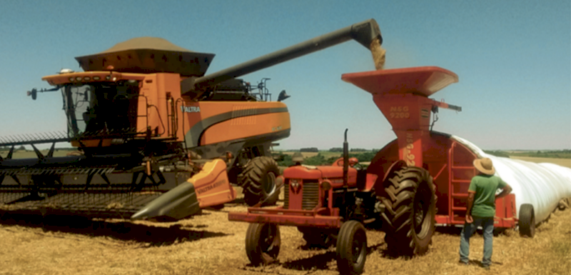 Grain Bags - Various Sizes Available
