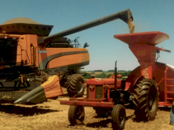 Grain Bags - Various Sizes Available