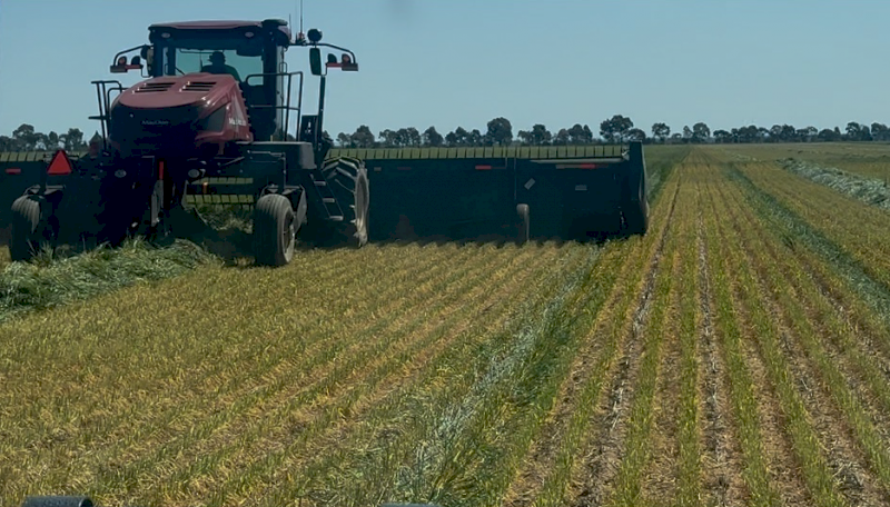 EOI 700-800mt Barley Hay 8x4x3 Bales