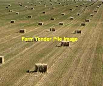 500 mt Oaten Hay
