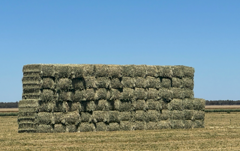 500mt Oaten Hay 750-800kg 8x4x3 Bales