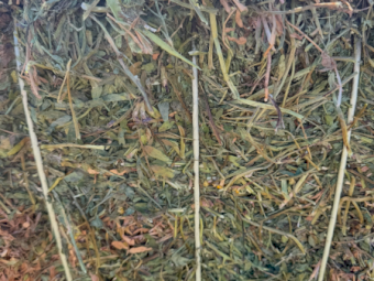 135mt Vetch Hay 700kg 8x4x3 Bales