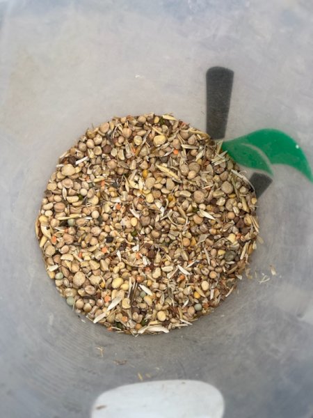 50MT Legume Mix