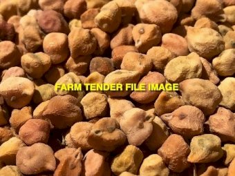 WANTED 1000 ton of Desi Chickpeas