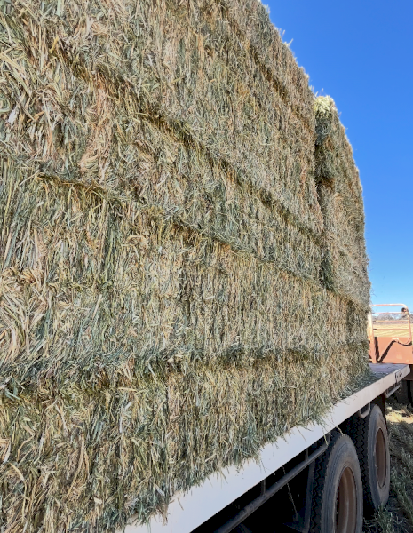 200mt Oaten Hay 600kg 8x4x3 Bales Inc Delivery