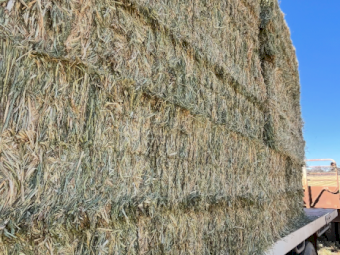 200mt Oaten Hay 600kg 8x4x3 Bales Inc Delivery