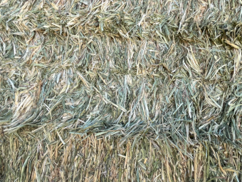 200mt Oaten Hay 600kg 8x4x3 Bales Inc Delivery