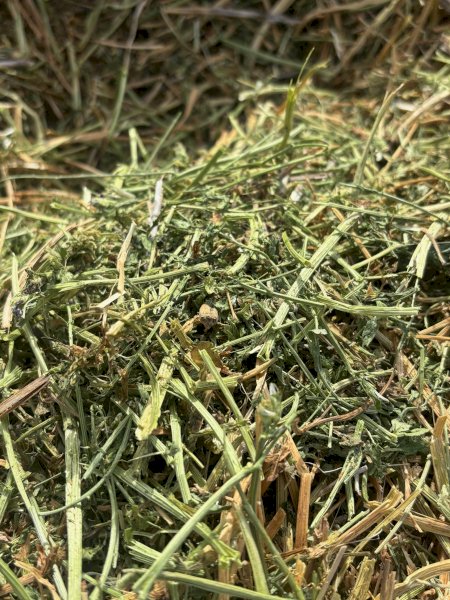 Vetch Hay 550kg 8x4x3 Bales